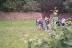 IMAG0069