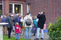 Bild-010