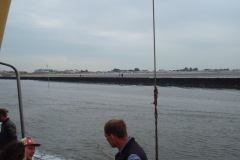 2010-08-07_12-41-18
