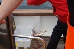 2010-08-07_14-25-41