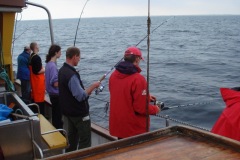 2010-08-07_14-29-29
