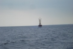 2010-08-07_14-35-44
