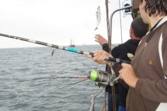2010-08-07_14-58-15