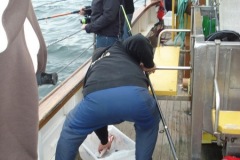 2010-08-07_14-58-27