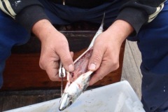 2010-08-07_16-37-11