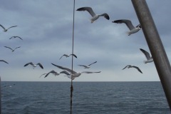 2010-08-07_16-39-06