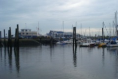 2010-08-07_17-49-14