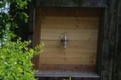 IMG-20180512-WA0018