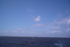 angeln04_068