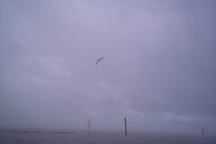 angeln04_148